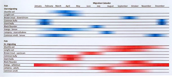Fish Migration Calendar for the Styx River Catchment