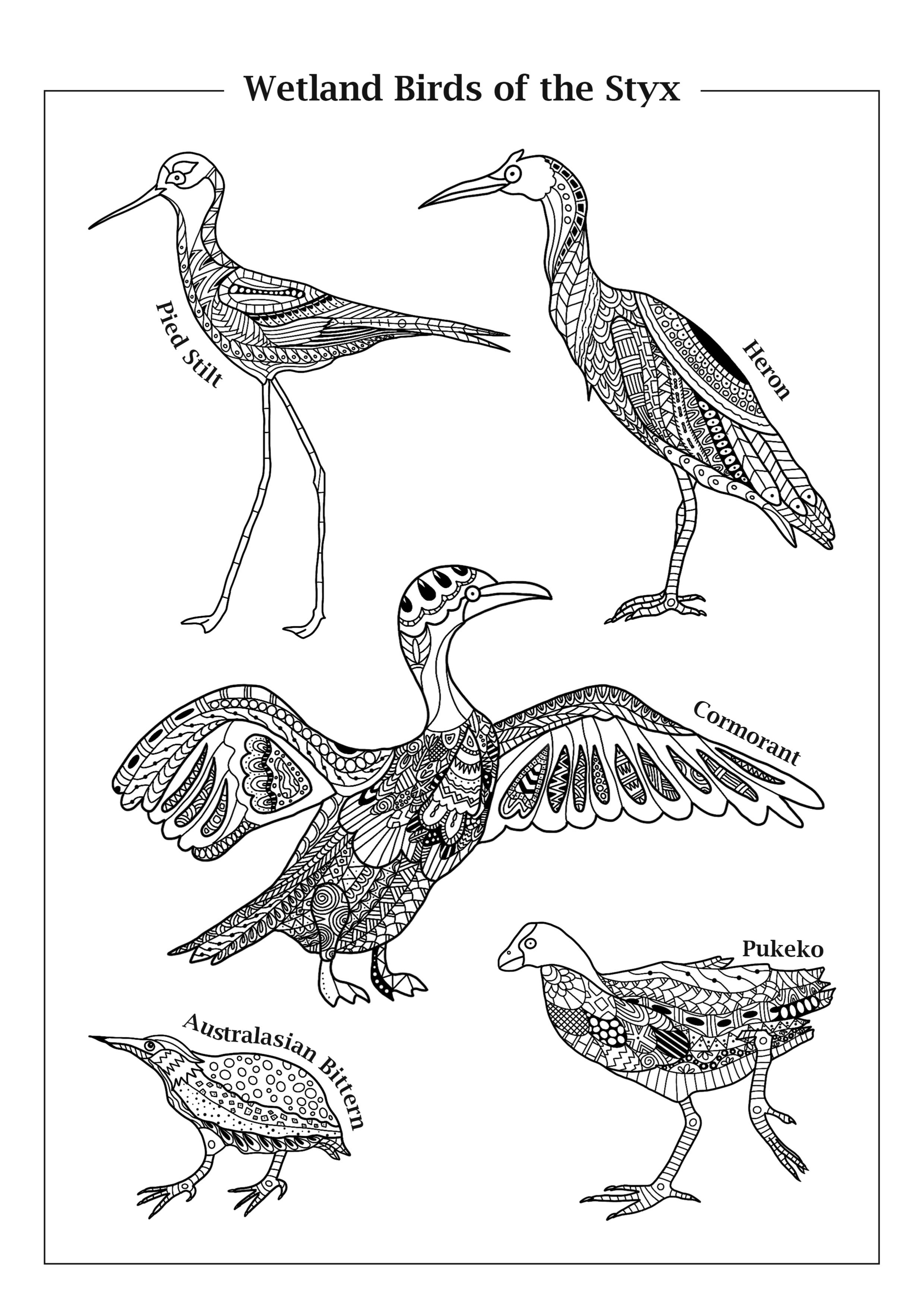 Wetland Birds Colouring Page Advanced