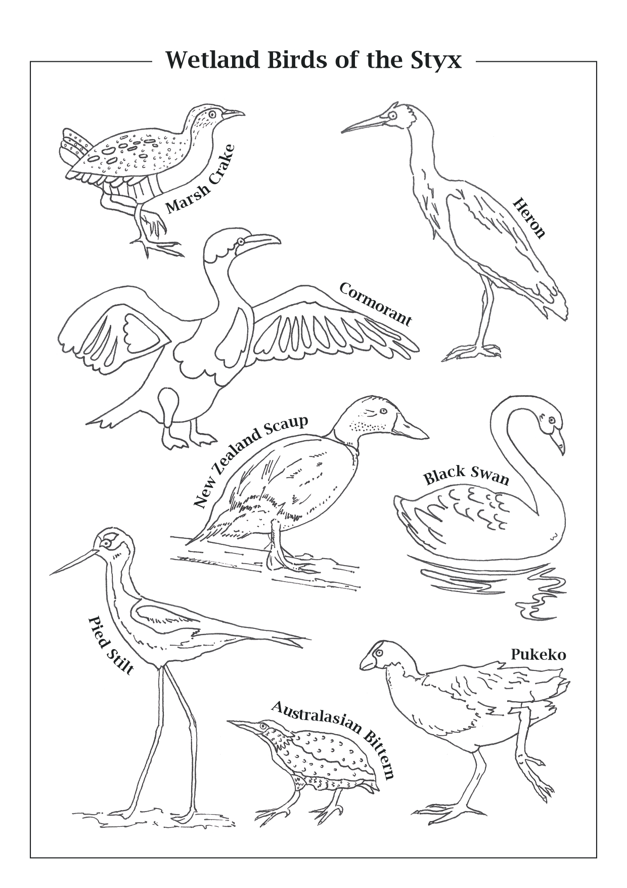 Wetland Birds Colouring Page Beginner