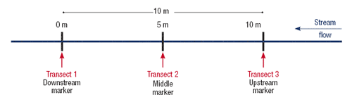 Water velocity transect diagram