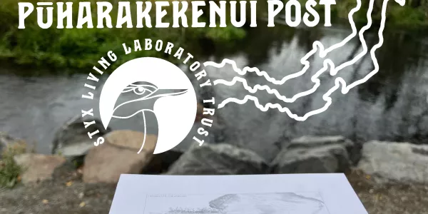 The Pūharakekenui Post logo in white is overlaid on a photo of a drawing of a stream, held up infront of the stream that the drawing depicts