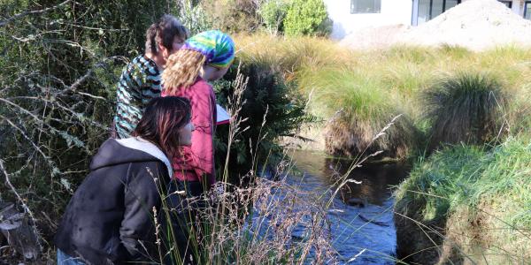 Water quality monitoring volunteers