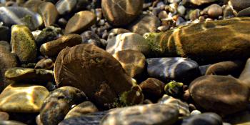 Streambed substrate, in this case rocks & pebbles